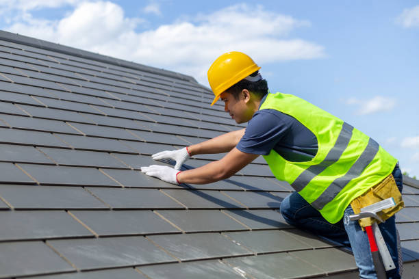 Best Roof Maintenance Services  in Rainbow Lakes, NJ