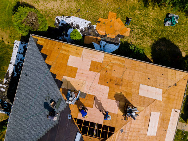 Best Roof Gutter Cleaning  in Rainbow Lakes, NJ