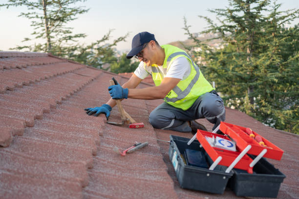 Best Residential Roof Replacement  in Rainbow Lakes, NJ