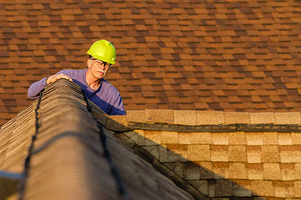 Best Roof Maintenance Services  in Rainbow Lakes, NJ